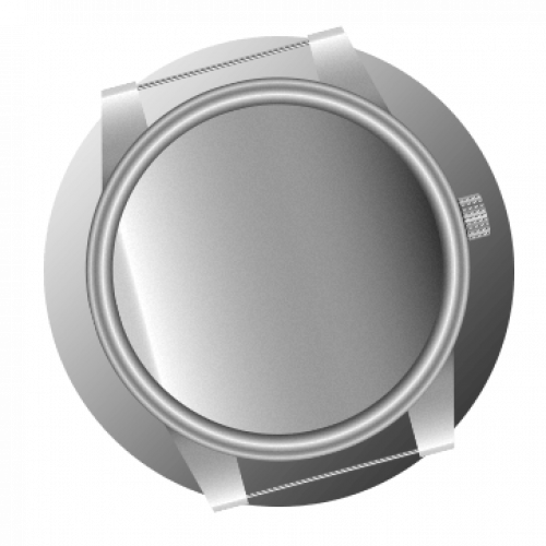 STAINLESS STEEL CASE